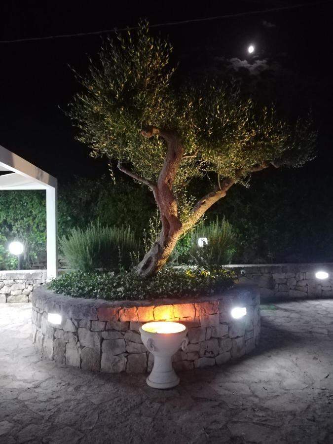 알베르벨로 Trullo Monte Del Sale 게스트하우스 외부 사진
