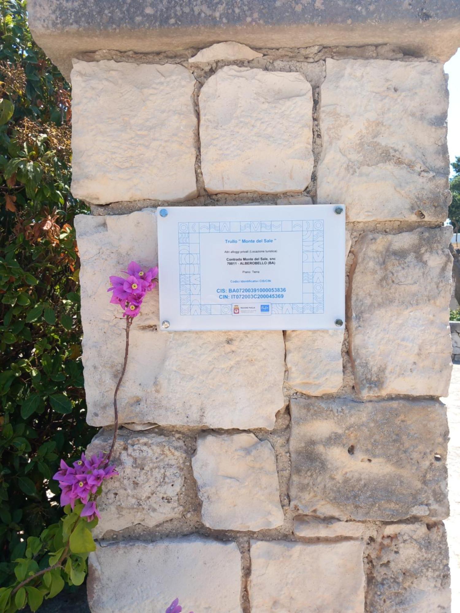 알베르벨로 Trullo Monte Del Sale 게스트하우스 외부 사진