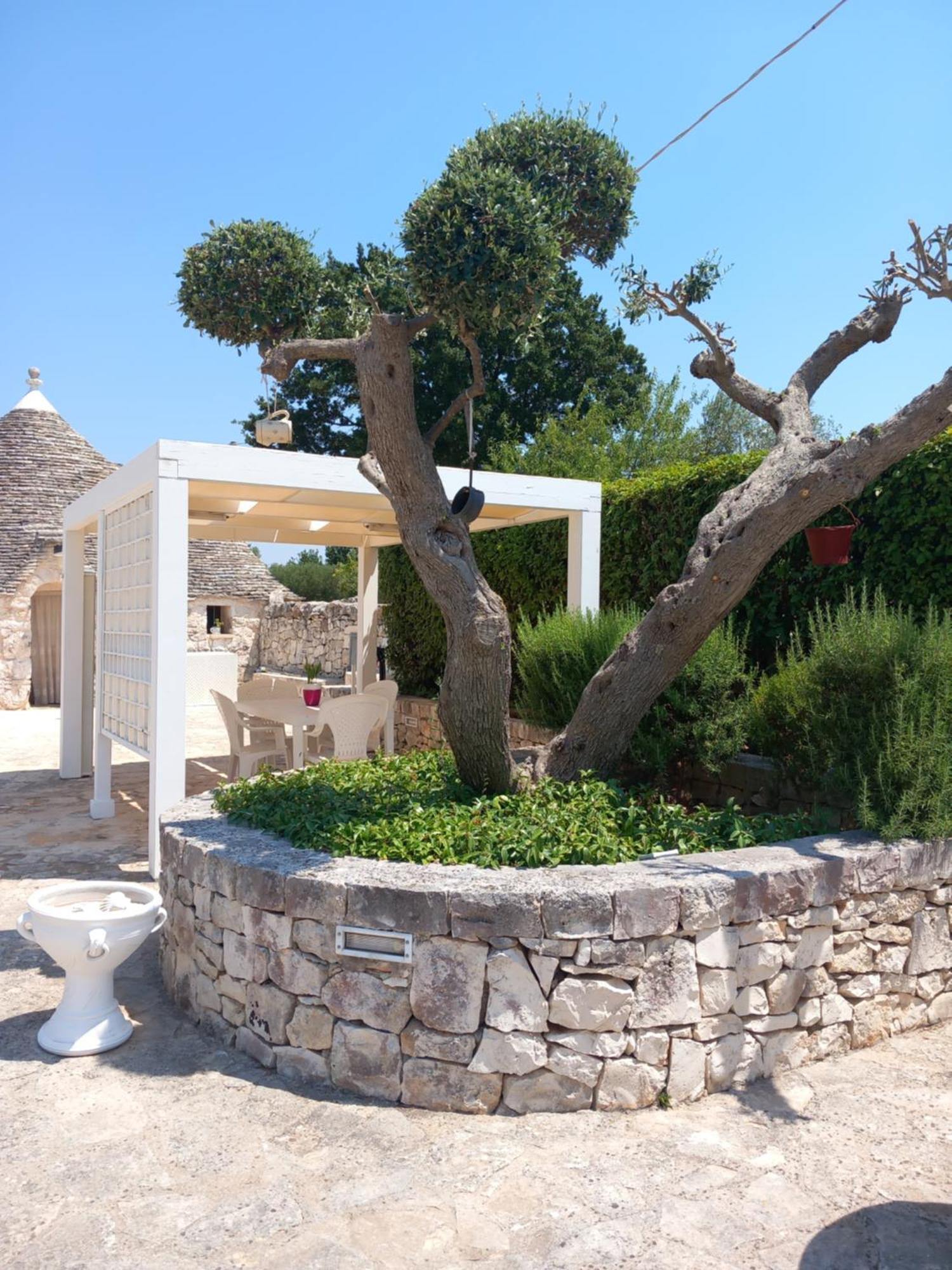 알베르벨로 Trullo Monte Del Sale 게스트하우스 외부 사진