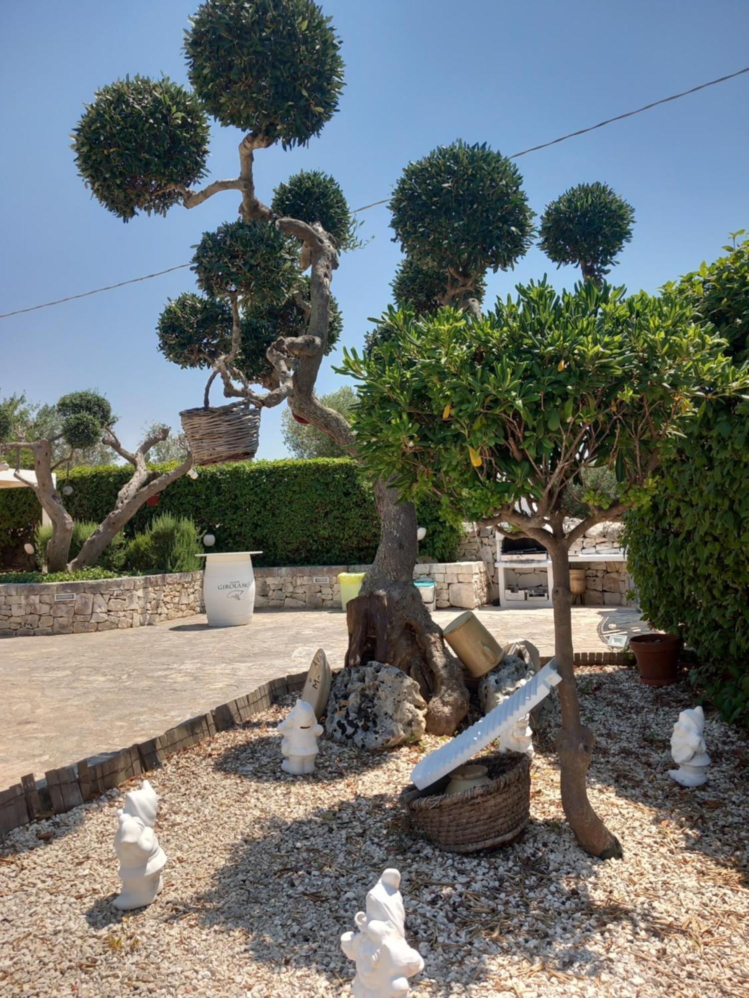 알베르벨로 Trullo Monte Del Sale 게스트하우스 외부 사진