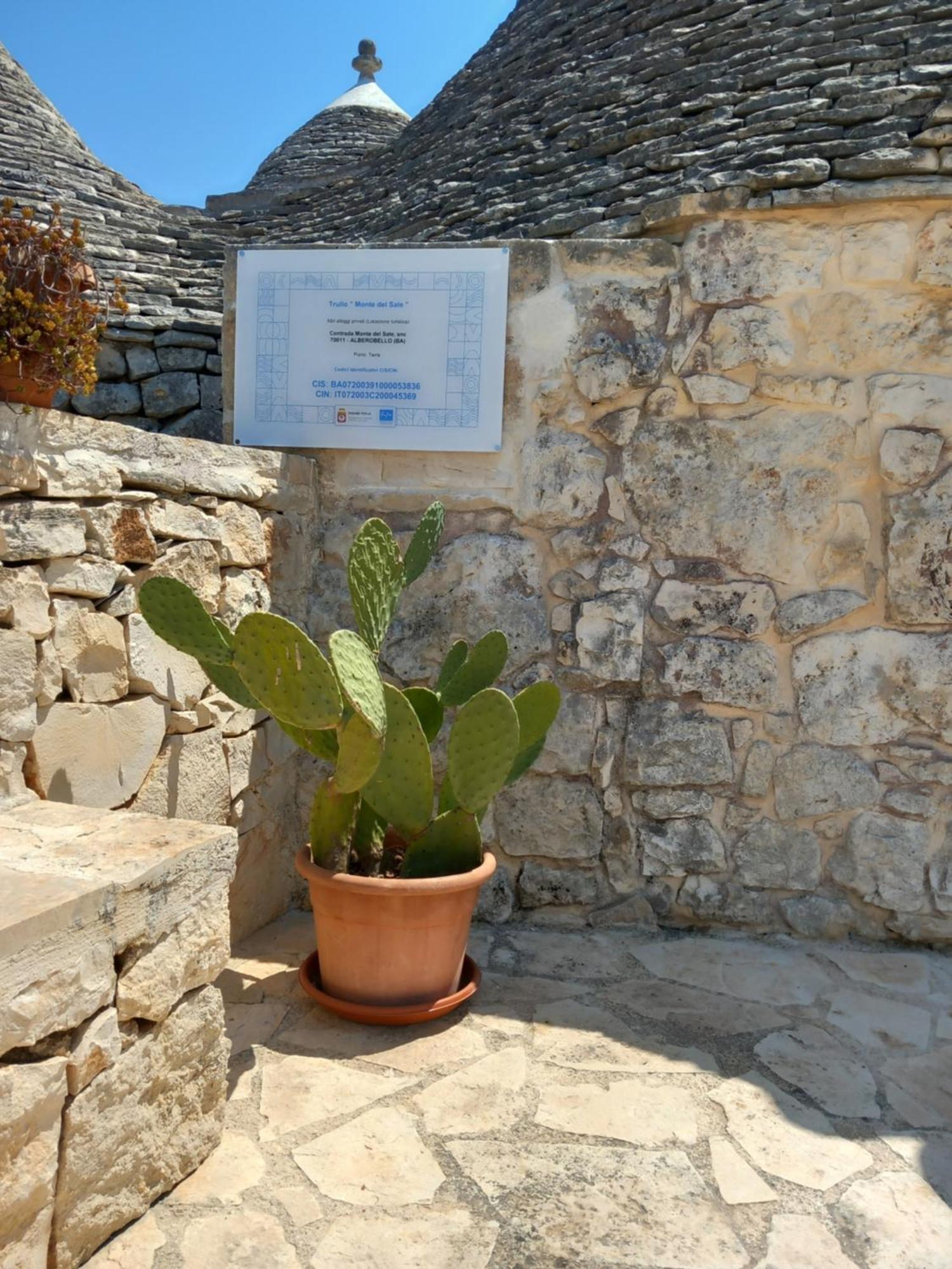 알베르벨로 Trullo Monte Del Sale 게스트하우스 외부 사진