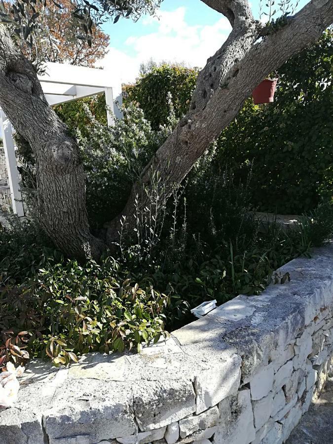 알베르벨로 Trullo Monte Del Sale 게스트하우스 외부 사진