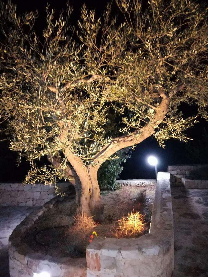 알베르벨로 Trullo Monte Del Sale 게스트하우스 외부 사진