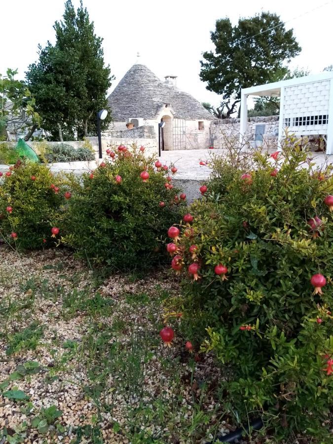 알베르벨로 Trullo Monte Del Sale 게스트하우스 외부 사진